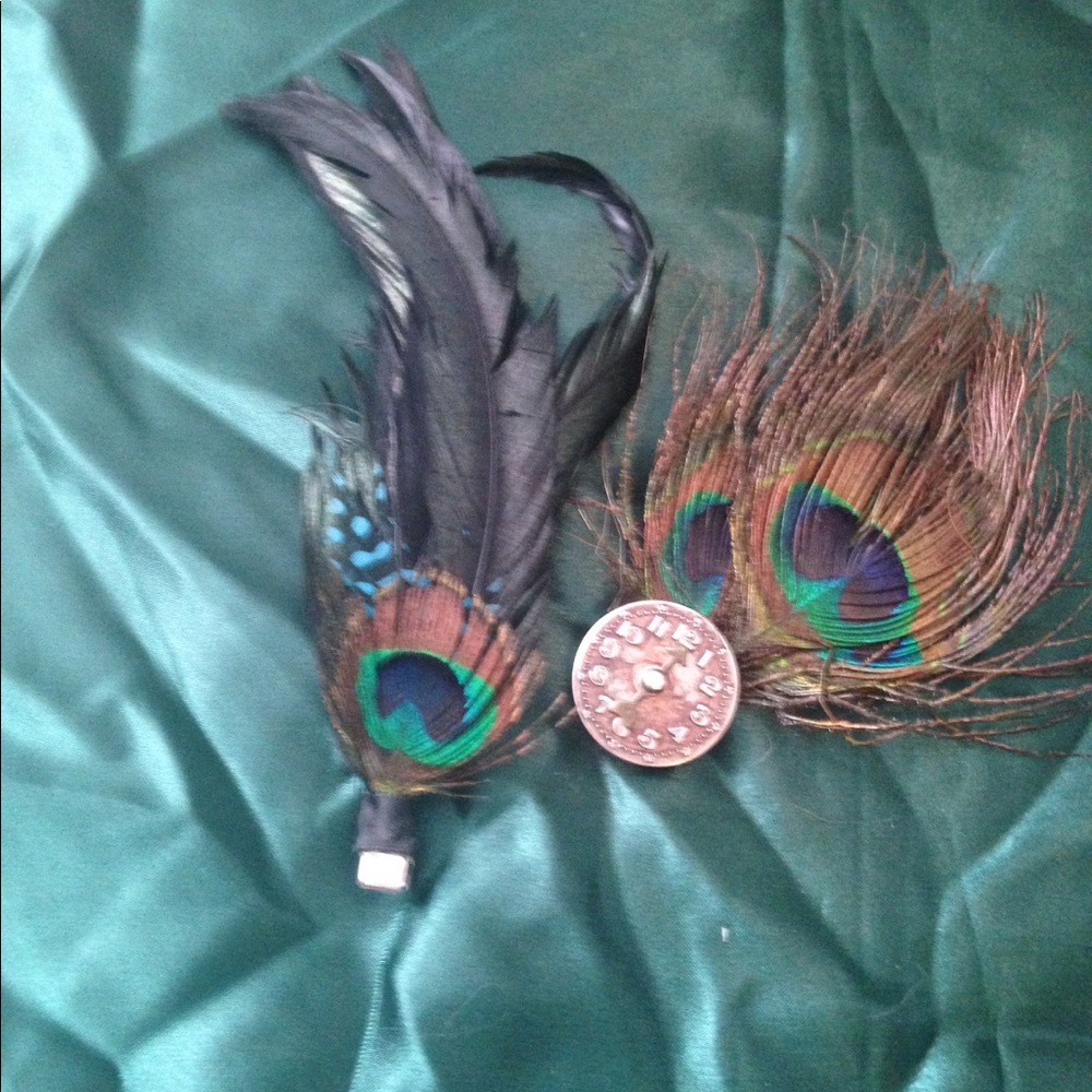 SET OF 2 Peacock Feather Fascinators/Hairclips